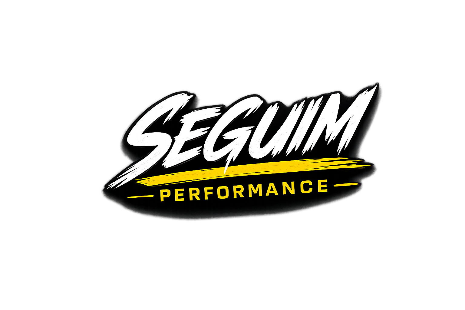 Seguim Performance